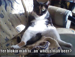 Yer blokin mah tv...an' wher's mah beer?