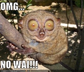 OMG...  NO WAI!!!