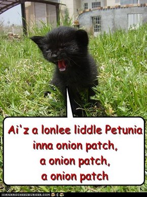 Ai'z a lonlee liddle Petunia inna onion patch, a onion patch, a onion patch