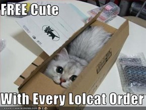FREE Cute  With Every Lolcat Order