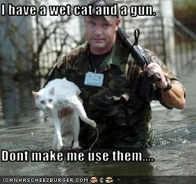 I have a wet cat and a gun.  Dont make me use them....