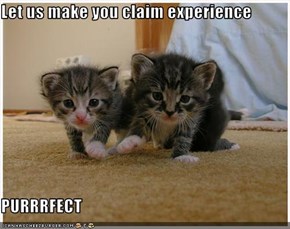 Let us make you claim experience  PURRRFECT