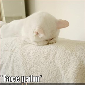 *Face palm*