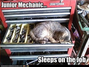 Junior Mechanic...