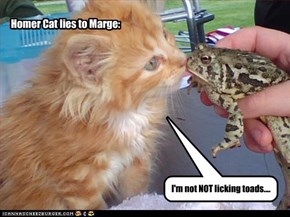 I'm not NOT licking toads....