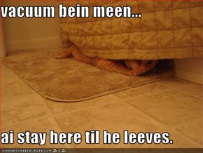 vacuum bein meen...  ai stay here til he leeves.