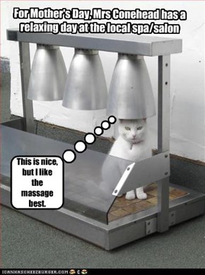 For Mother's Day, Mrs Conehead has a relaxing day at the local spa/salon