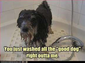 it's down the drain