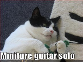 Miniture guitar solo