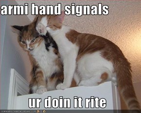 armi hand signals  ur doin it rite