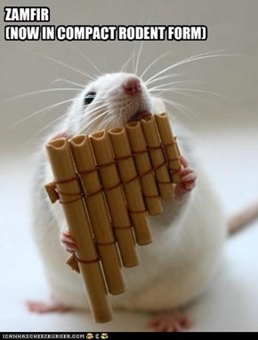ZAMFIR (NOW IN COMPACT RODENT FORM)