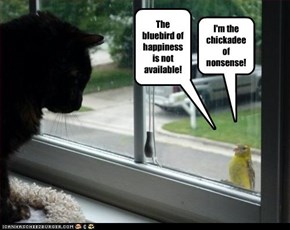 The bluebird of happiness is not available!
