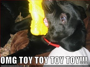 OMG TOY TOY TOY TOY!!!