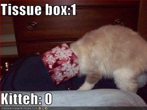 Tissue box:1  Kitteh: 0