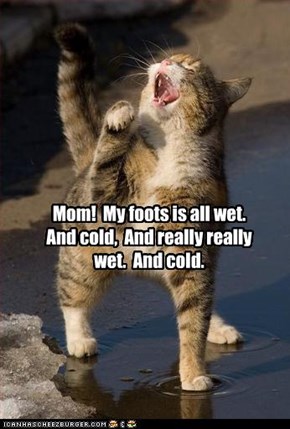 Mom!  My foots is all wet.  And cold,  And really really wet.  And cold.
