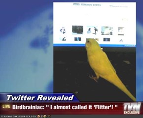 Twitter Revealed - Birdbrainiac: " I almost called it 'Flitter'! "