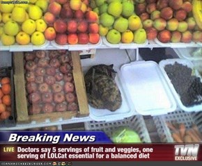 Breaking News - Doctors say 5 servings of fruit and veggies, one serving of LOLCat essential for a balanced diet