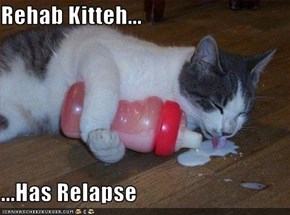 Rehab Kitteh...  ...Has Relapse
