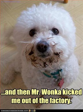 ...and then Mr. Wonka kicked me out of the factory.