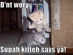 D'nt wory  Supah kitteh savs ya!