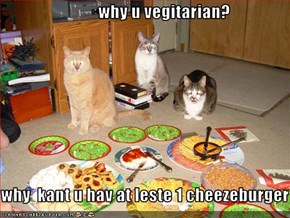 why u vegitarian?  why  kant u hav at leste 1 cheezeburger
