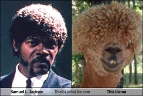 Samuel L. Jackson Totally Looks Like This Llama