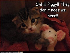 Shh!!! Piggy!! They don't noez we here!!