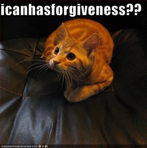 icanhasforgiveness??
