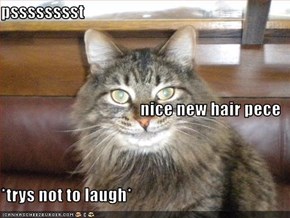 psssssssst nice new hair pece *trys not to laugh*