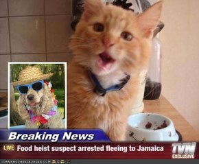 Breaking News - Food heist suspect arrested fleeing to Jamaica