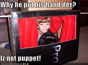 Why he put his hand der?  Iz not puppet!