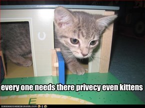 every one needs there privecy even kittens