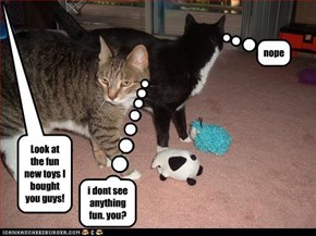 Look at the fun new toys I bought you guys!