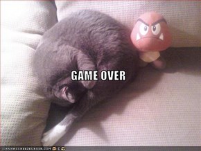 GAME OVER