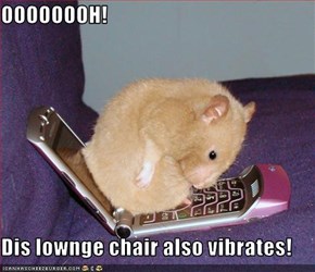 OOOOOOOH!  Dis lownge chair also vibrates!