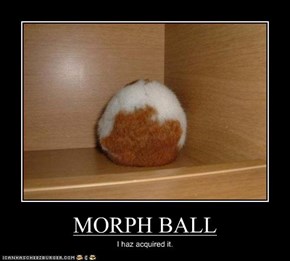 MORPH BALL