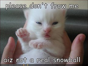 please don't frow me  aiz not a real snowball