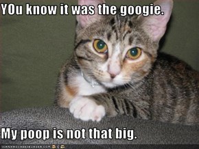 YOu know it was the googie.  My poop is not that big.