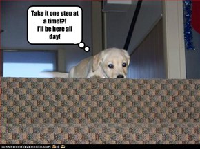 Take it one step at a time!?! I'll be here all day!