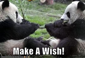 Make A Wish!