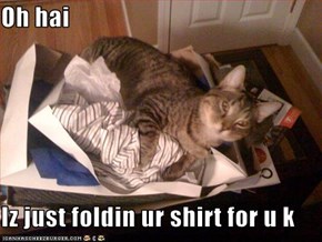 Oh hai  Iz just foldin ur shirt for u k