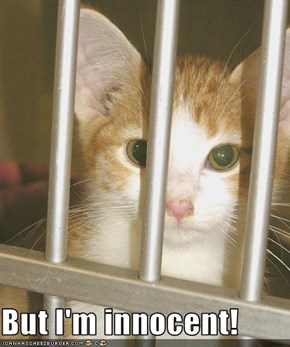 But I'm innocent!