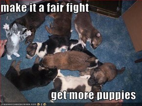 make it a fair fight  get more puppies