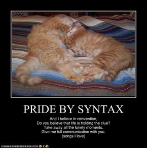 PRIDE BY SYNTAX