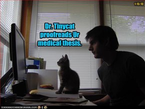 Dr. Tinycat proofreads Ur medical thesis.