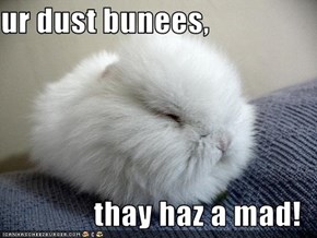 ur dust bunees,  thay haz a mad!