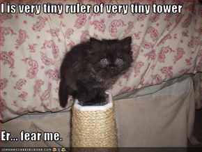 I is very tiny ruler of very tiny tower  Er... fear me.