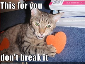 This for you  don't break it