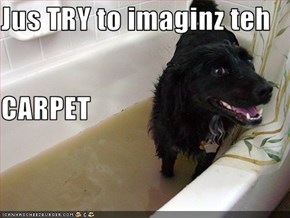 Jus TRY to imaginz teh  CARPET