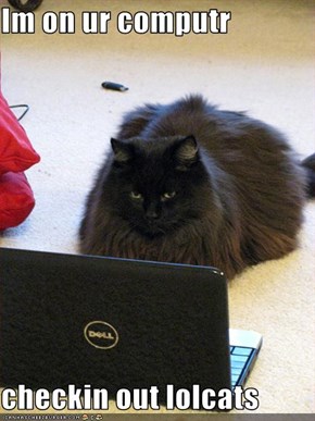 Im on ur computr   checkin out lolcats